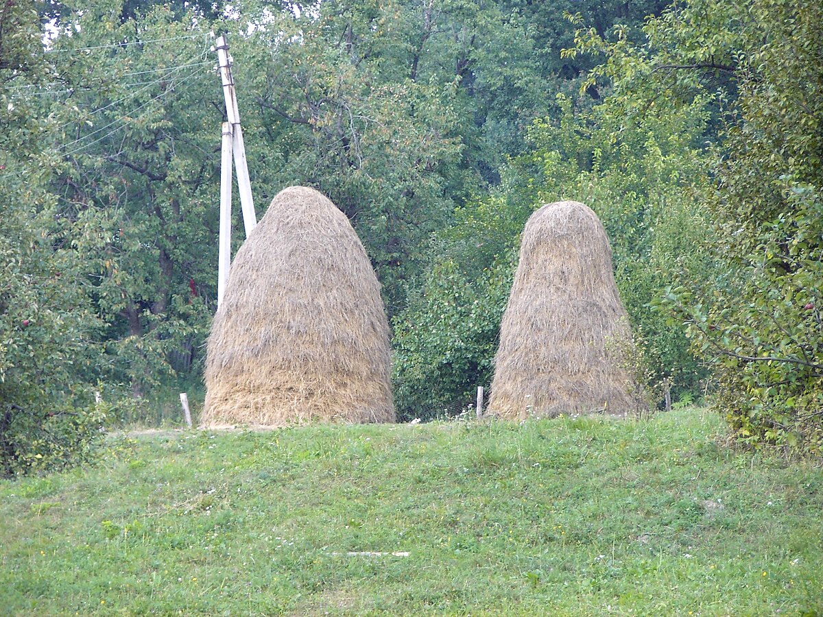 A pair of haystacks at a Moldovan village