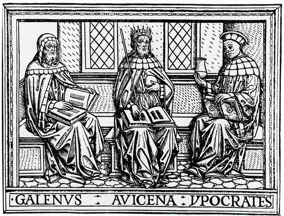 Galen, Avienna, and Herodotus: three bearded men drawn seated holding books.